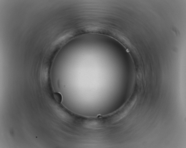 X0000114410454200910161210