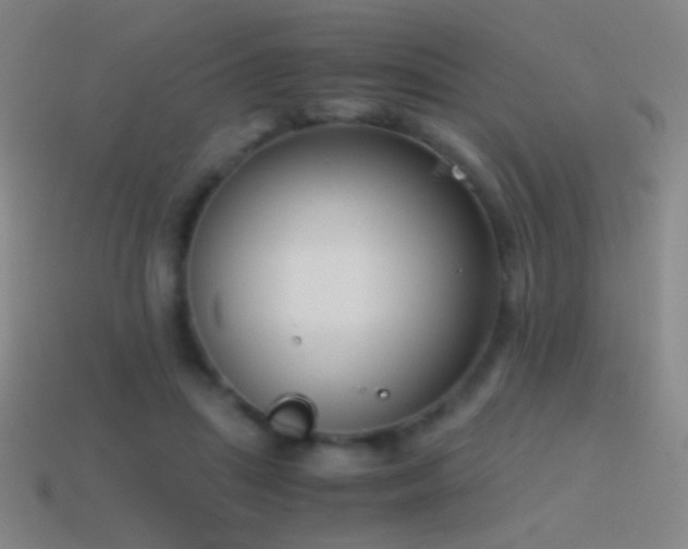 X0000114410455200910161210