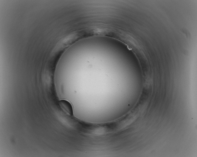 X0000114410456200910161210