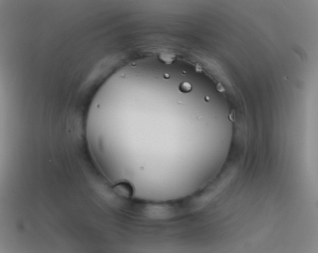 X0000114410457200910161210