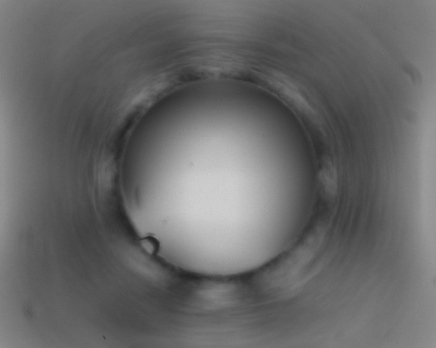 X0000114410458200910161210