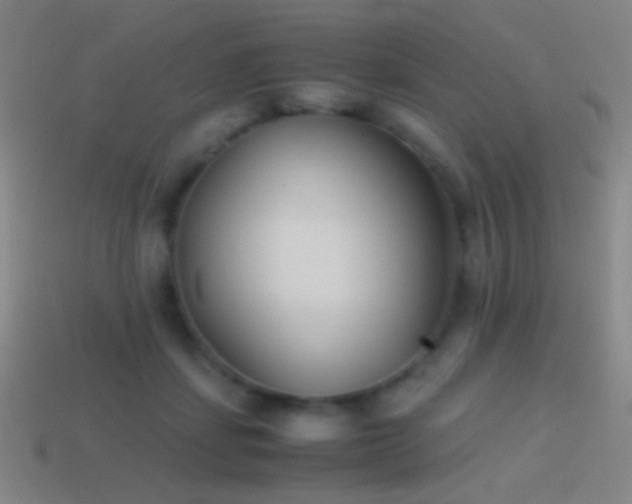 X0000114410459200910161210