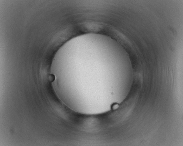 X0000114410460200910161210