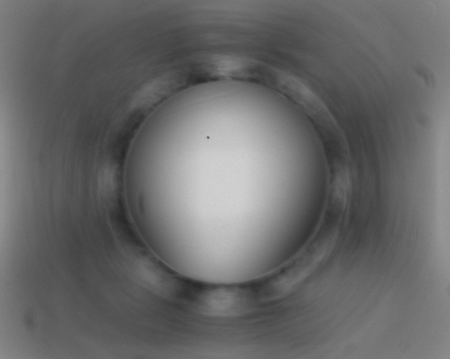 X0000114410461200910161210