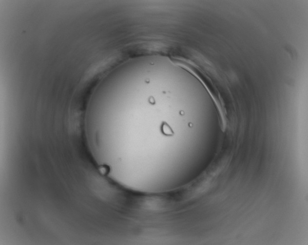 X0000114410462200910161210