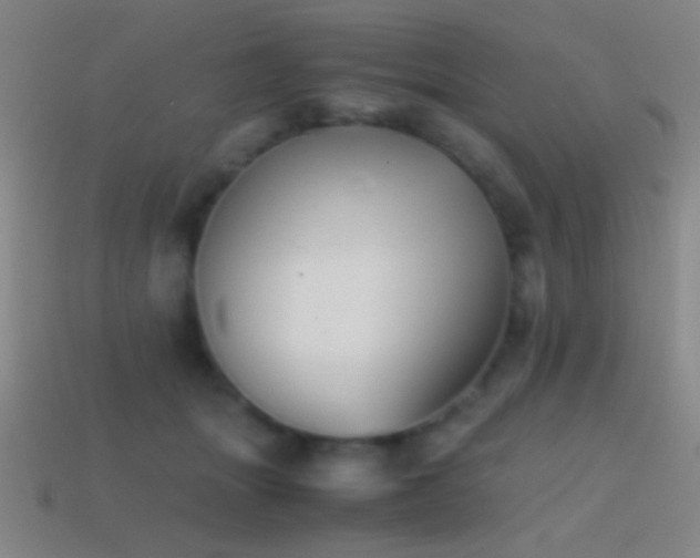 X0000114410463200910161210