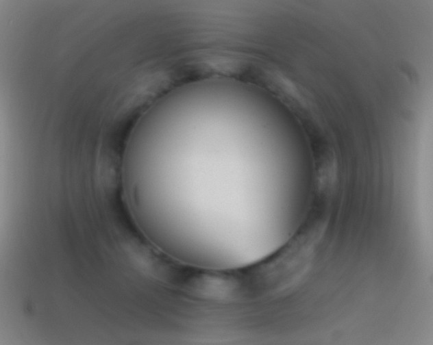 X0000114410464200910161210