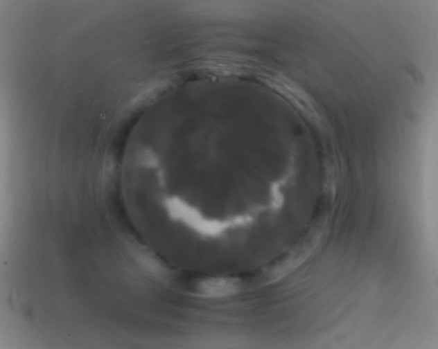 X0000114410465200910161210