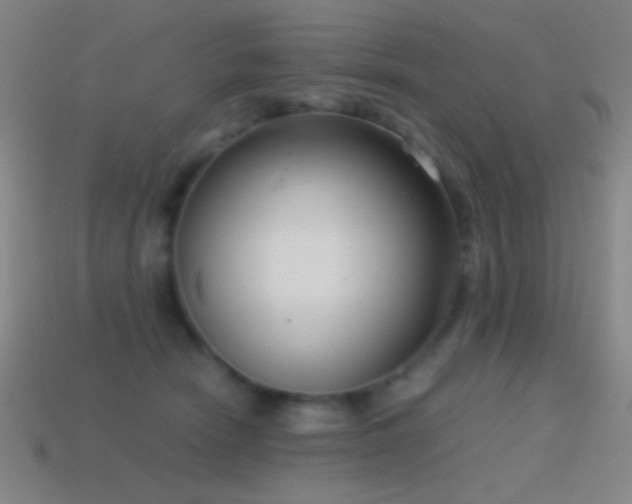 X0000114410466200910161210