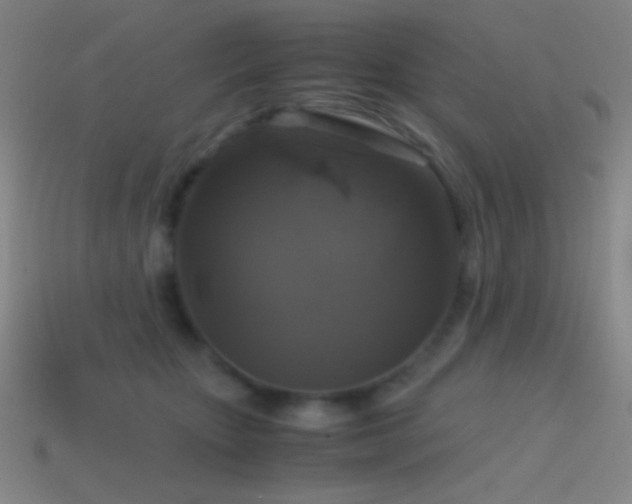 X0000114410467200910161210
