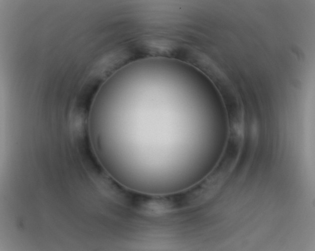 X0000114410468200910161210