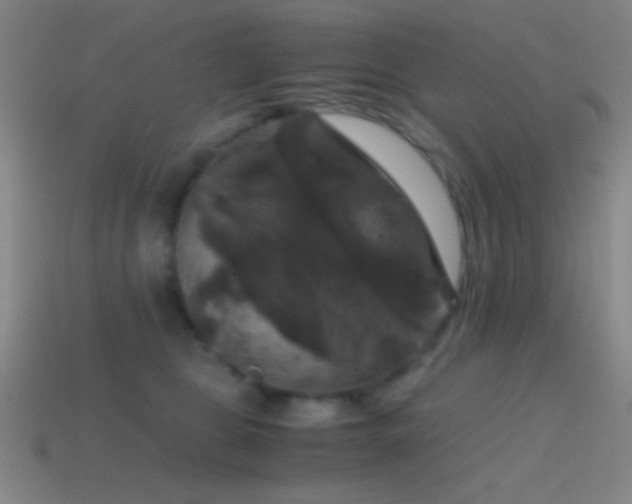 X0000114410469200910161210