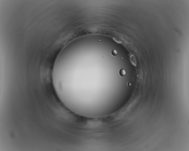 X0000114410470200910161210