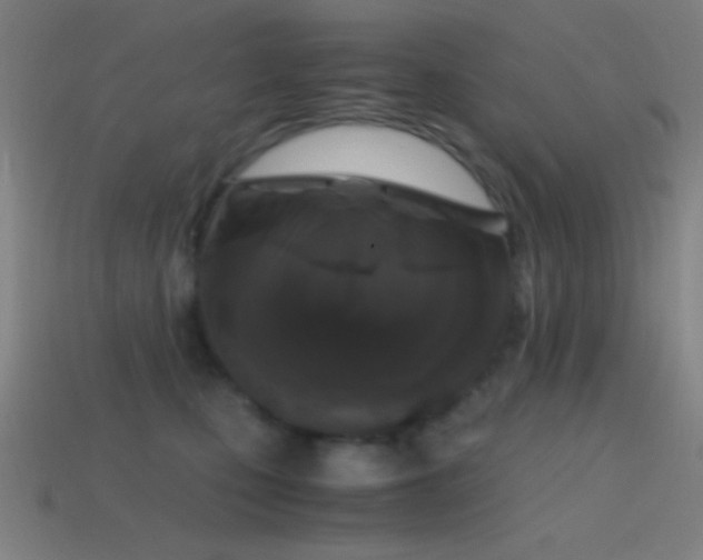 X0000114410471200910161210