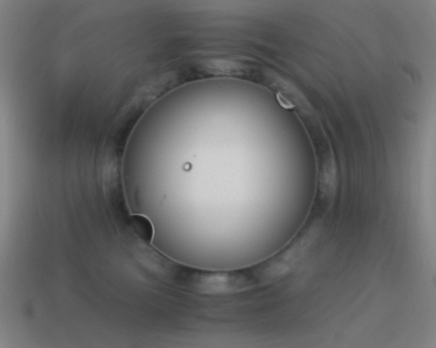 X0000114410473200910161210