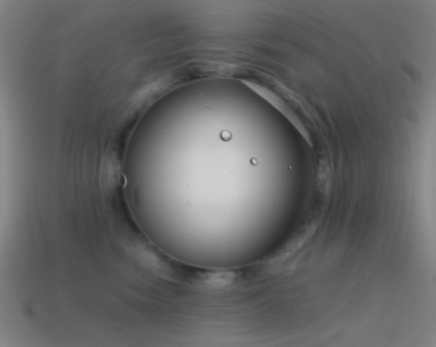 X0000114410474200910161211