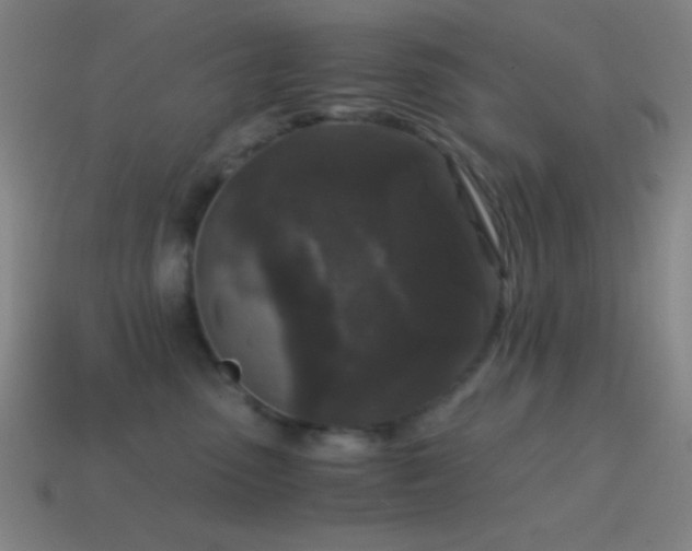 X0000114410475200910161211