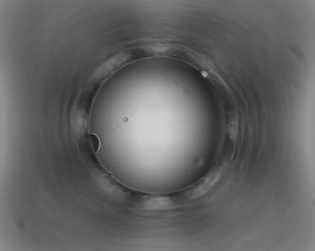 X0000114410476200910161211