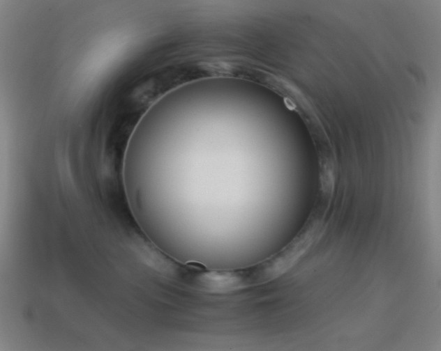 X0000114410477200910161211