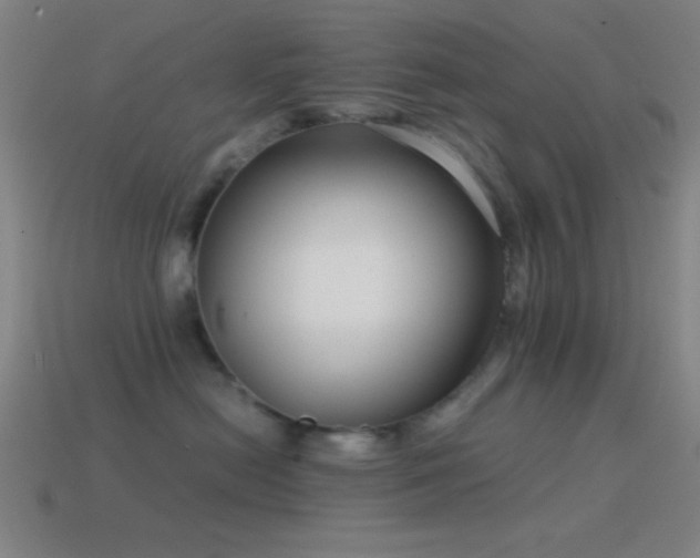 X0000114410478200910161211