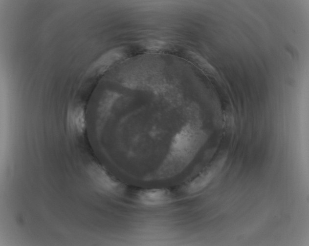 X0000114410479200910161211