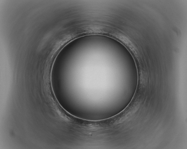 X0000114410481200910161210