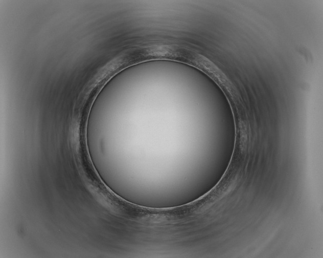 X0000114410482200910161210