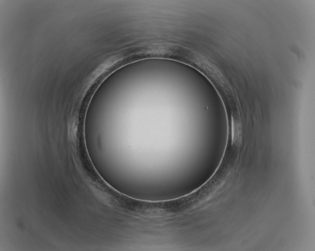 X0000114410483200910161210