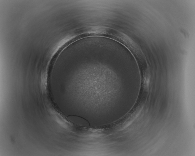 X0000114410484200910161210