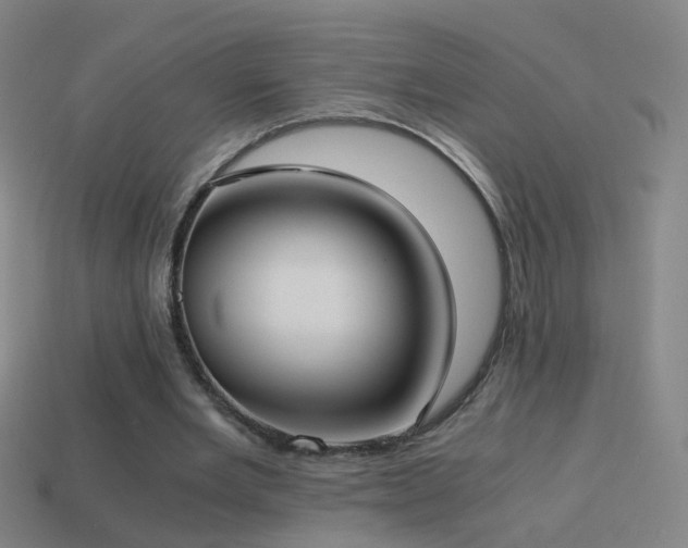 X0000114410485200910161210