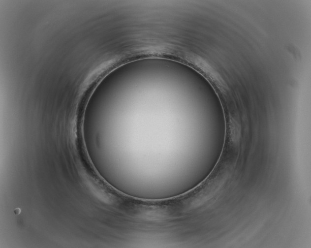 X0000114410486200910161210