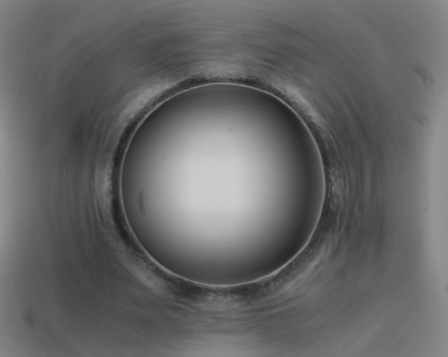 X0000114410487200910161210