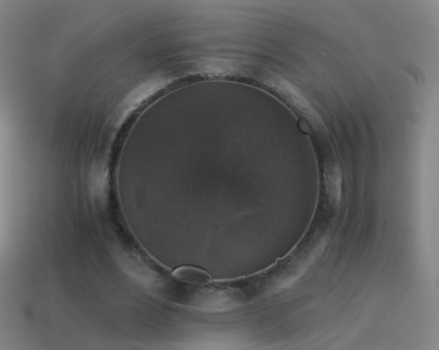 X0000114410488200910161210