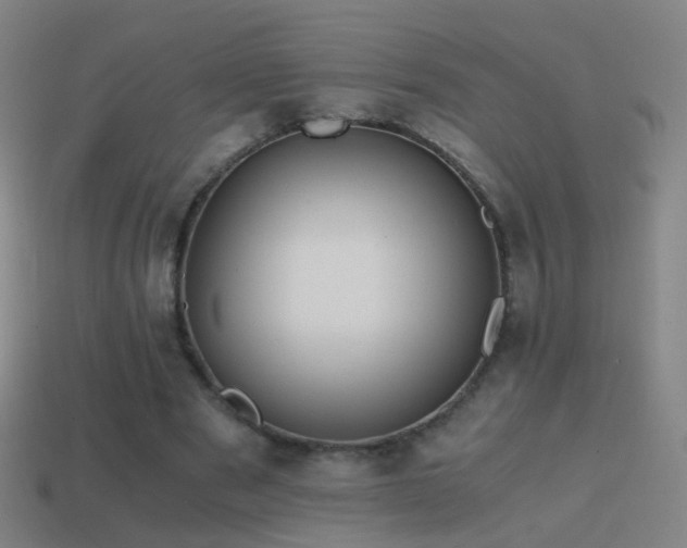 X0000114410489200910161210