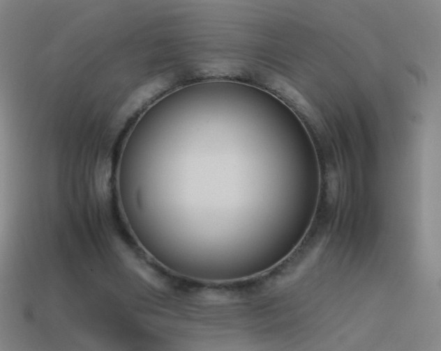 X0000114410490200910161210