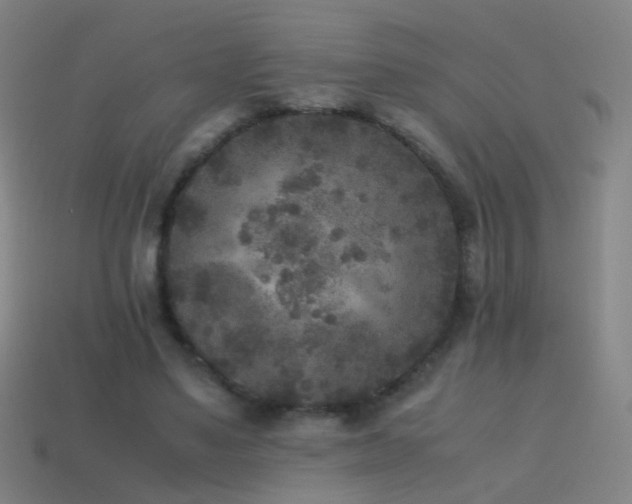 X0000114410491200910161210