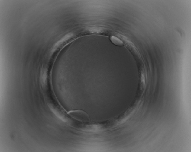 X0000114410492200910161210