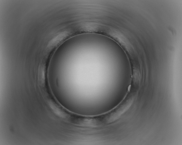 X0000114410493200910161210