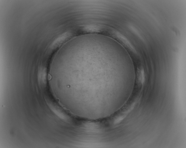 X0000114410494200910161210