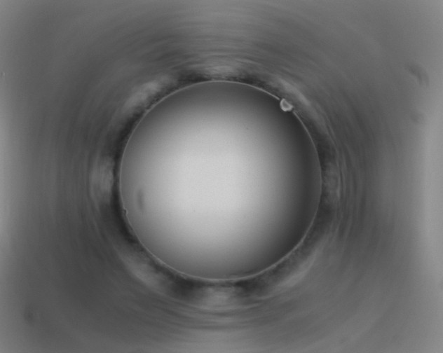 X0000114410495200910161210
