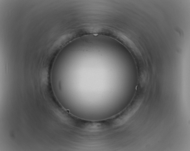 X0000114410497200910161210