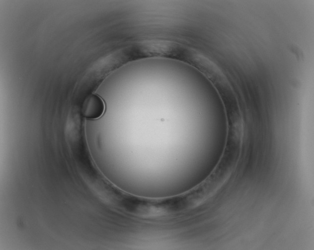 X0000114410498200910161210