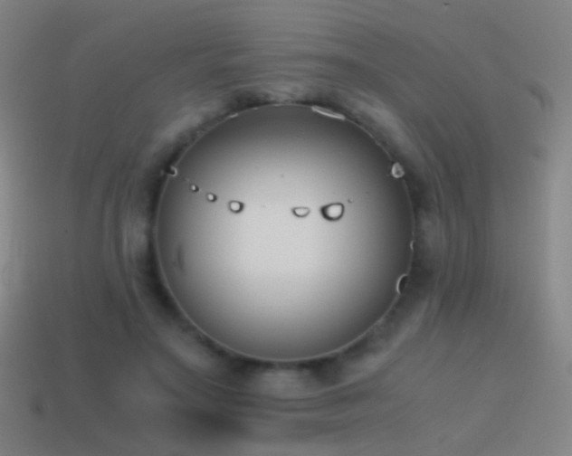 X0000114410499200910161210
