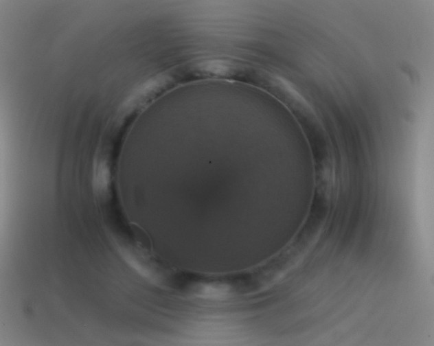 X0000114410500200910161210
