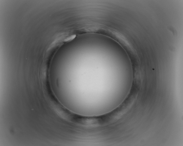 X0000114410501200910161210