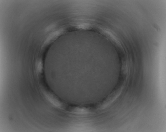 X0000114410502200910161210
