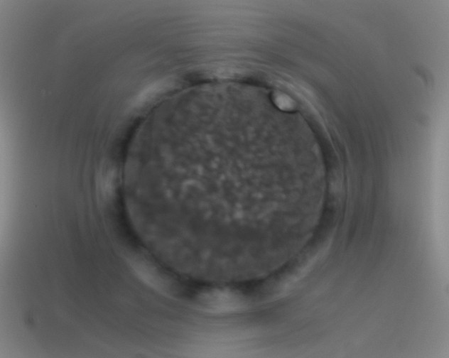 X0000114410503200910161210