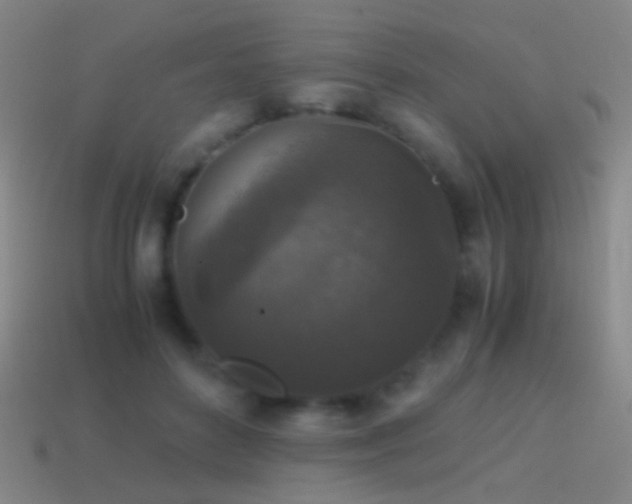 X0000114410504200910161209