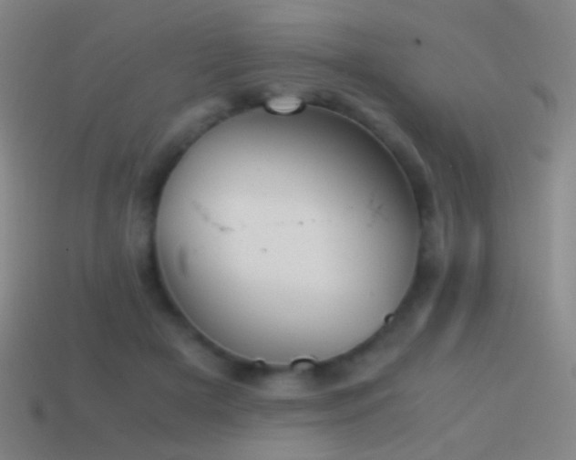 X0000114410505200910161209