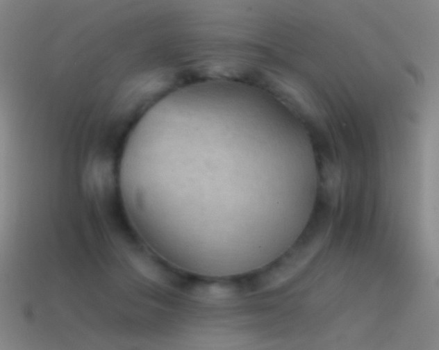 X0000114410506200910161209